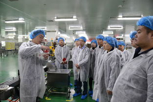 深入基层，守护美丽与安全——药品化妆品质量与安全走基层系列活动纪实